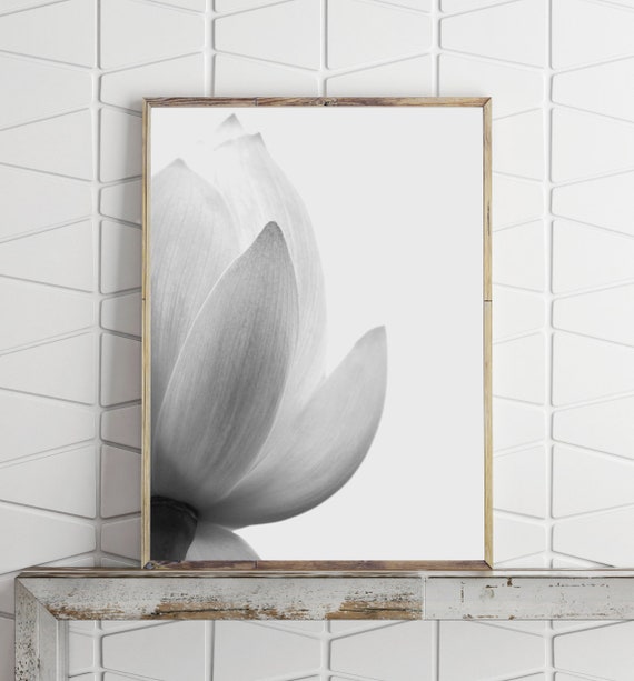 Lotus Art Flower Wall Art Large Wall Art Prints Flower Etsy