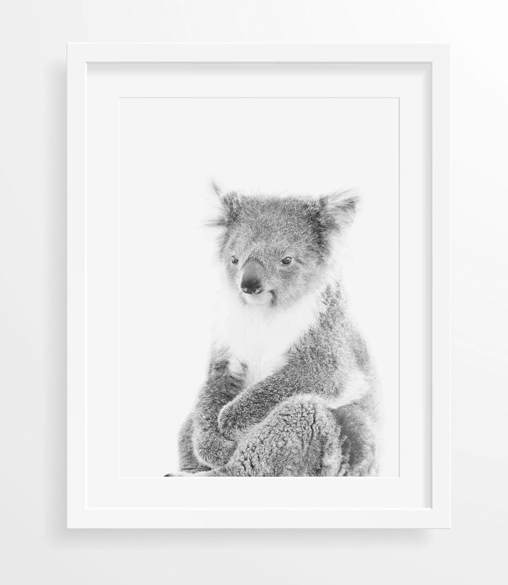 Koala Print - Digital Download