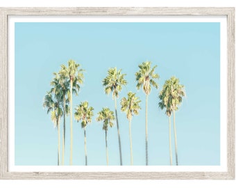 Palm Tree Print, Palm Photography Prints, Extra Large Wall Art, Coastal Wall Art, Palm Wall Art, Palm Prints, Colorful Wall Art