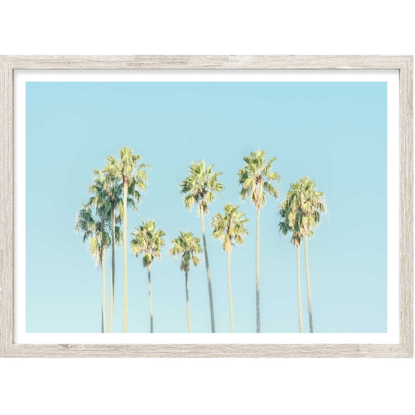 Palm Tree Print, Palm Photography Prints, Extra Large Wall Art, Coastal Wall Art, Palm Wall Art, Palm Prints, Colorful Wall Art