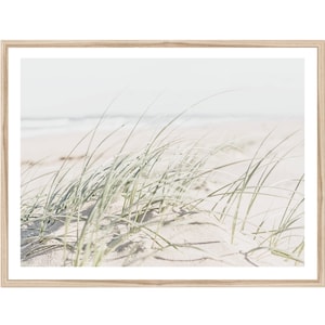 May include: A close-up of green grass blowing in the wind on a white sandy beach. The background is a soft blue sky and ocean.