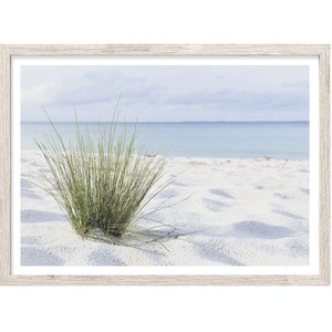 Beach Wall Art, Extra Large Wall Art, Beach Photography Prints, Coastal Wall Art, Beach Grass Print, Bedroom Prints, Beach Decor