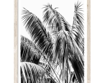 Palm Tree Print, Extra Large Wall Art, Black and White Wall Art, Palm Wall Decor, Palm Photography Prints, Fine Art Print