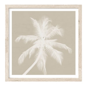 Palm Wall Art, Palm Tree Print, Extra Large Wall Art, Neutral Wall Art, Palm Silhoutte Print, Fine Art Print, Neutral Wall Art, Palm Poster