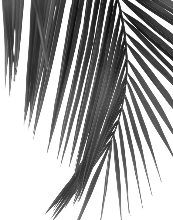 Get Grosse kuestenwandkunst Free HD Grosse Kuestenwandkunst