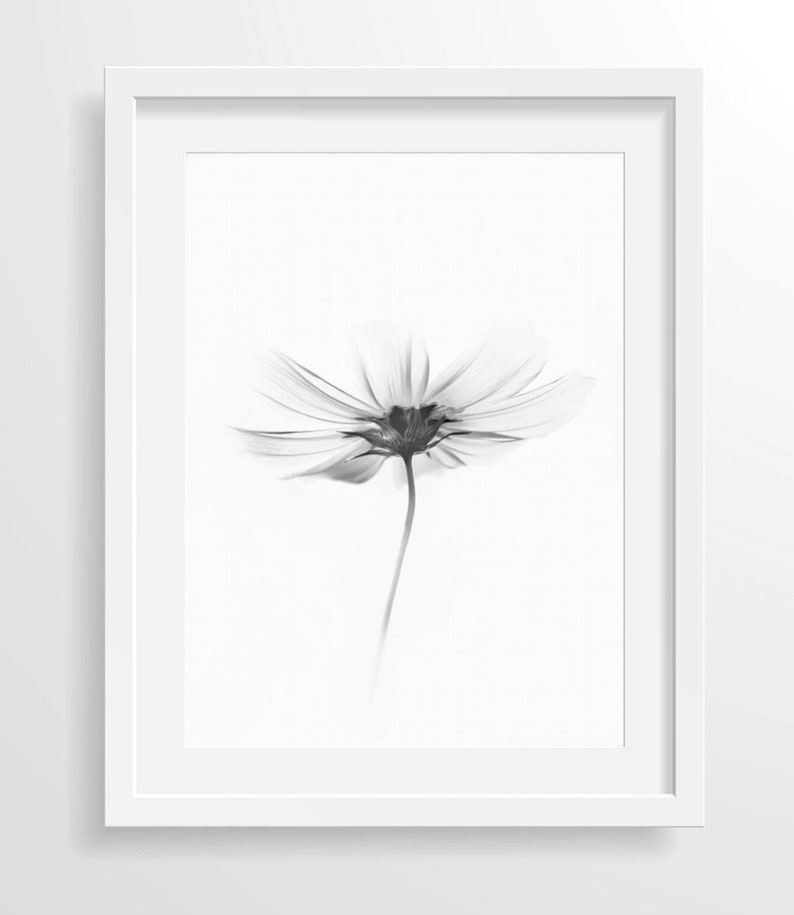Flower Wall Art Black and White Wall Art Printable Wall Art Etsy