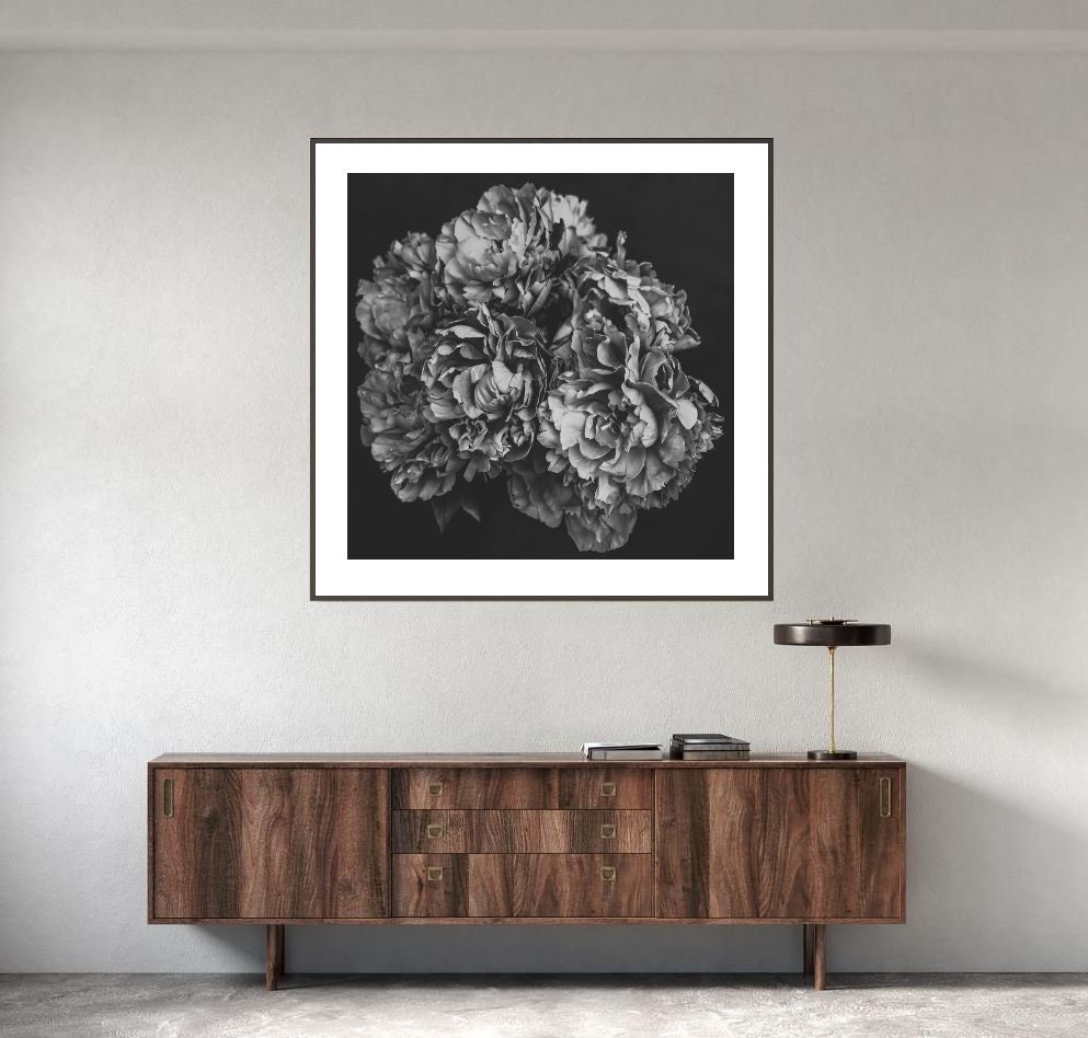 Flower Wall Art Peony Print Black and White Flower - Etsy