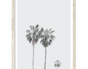 Palm Tree Print, Coastal Wall Art, Palm Photography Prints, Extra Large Wall Art Prints, Pastel Wall Art, Palm Poster, Fine Art Prints