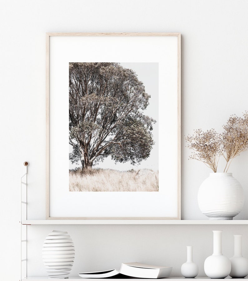 May include: A framed photograph of a lone tree in a field of tall grass. The tree has a thick trunk and branches with a light brown color. The grass is a light brown color and the background is a light gray color.
