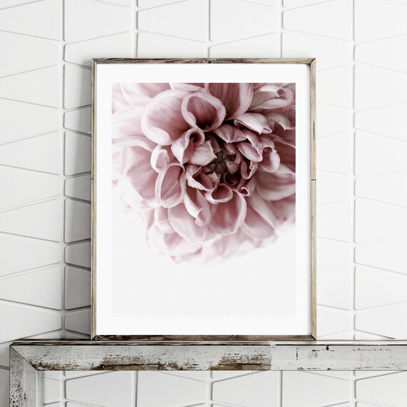 Flower Wall Art Large Wall Art Prints Downloadable Prints Etsy