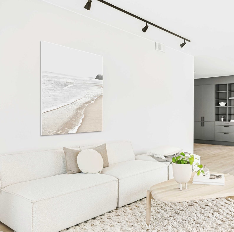 May include: A white couch with a throw pillow and a plant in a white pot in front of a white wall with a black track light and a framed photograph of a beach scene.