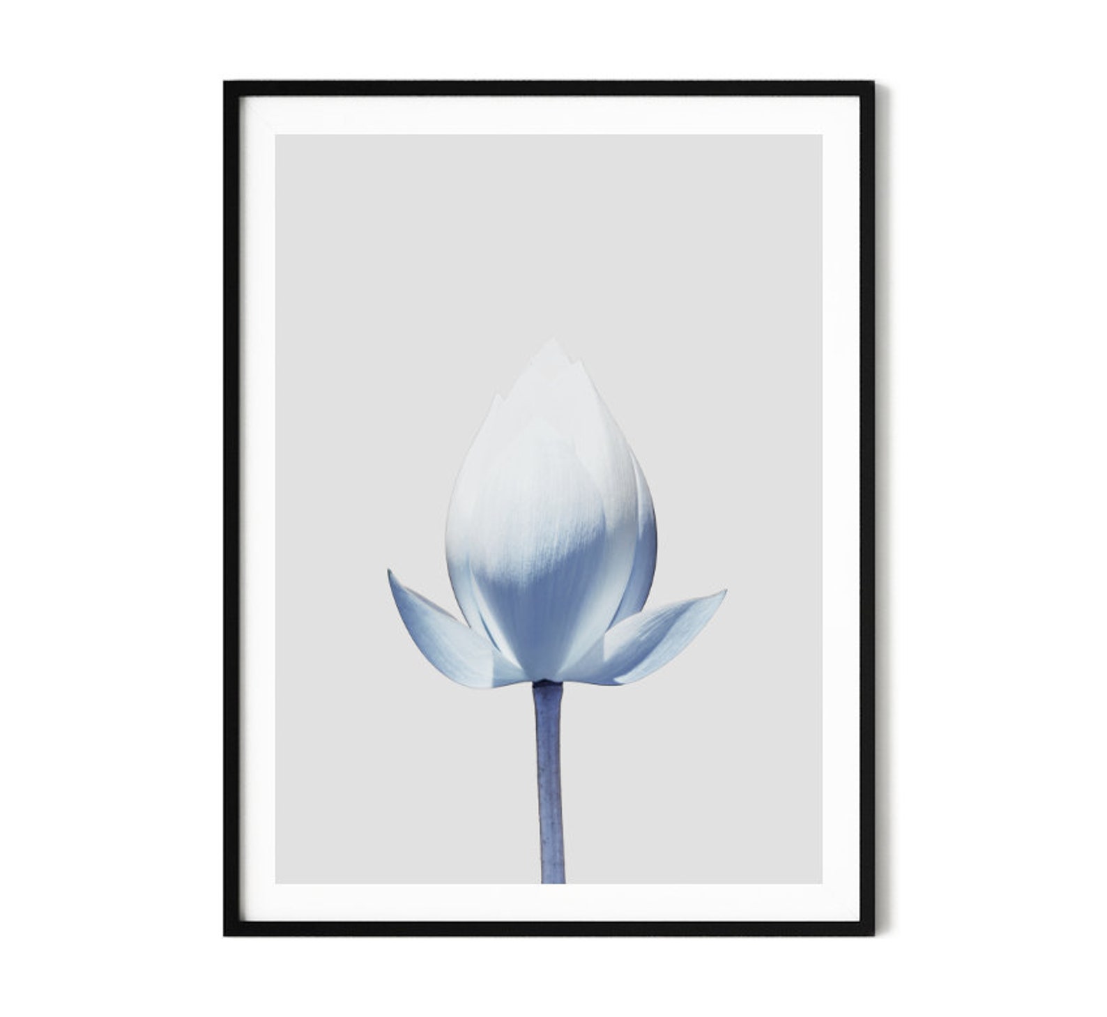 Lotus Art Flower Wall Art Downloadable Prints Large Wall Etsy