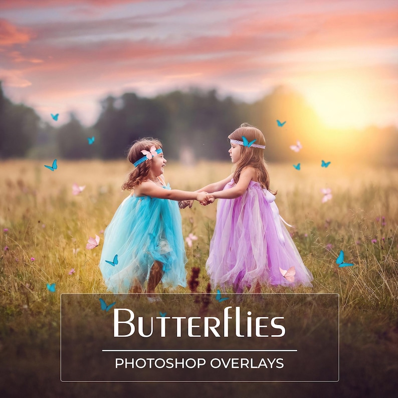 80 Butterfly Overlays - Colorful Butterflies - Blue - Red - Yellow - Purple - Pink - PNG - Photoshop Overlays image 1