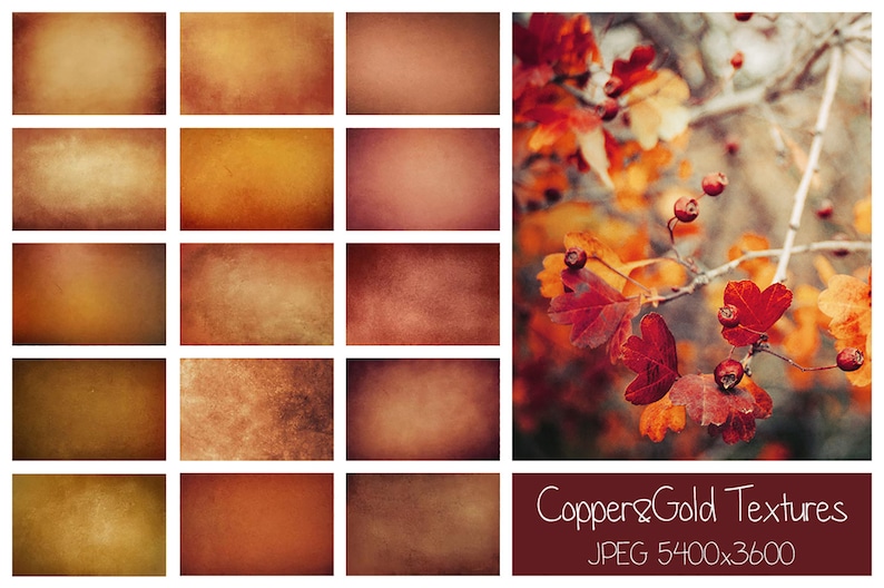 Download Fall Bundle 50 Autumn Leaves Overlays 46 Autumn Actions | Etsy