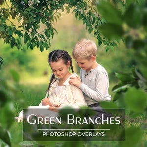 120 sovrapposizioni di rami verdi - sovrapposizioni primaverili - rami di alberi - sfondo primaverile - foglie verdi - giardino primaverile - PNG - sovrapposizioni di Photoshop