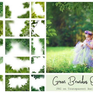 120 Green Branches Overlays Spring Overlays Tree Branches Spring Background Green Leaves Spring Garden PNG Photoshop Overlays image 8