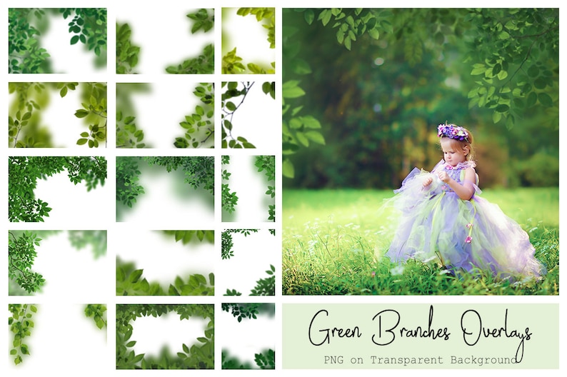 120 Green Branches Overlays Spring Overlays Tree Branches Spring Background Green Leaves Spring Garden PNG Photoshop Overlays zdjęcie 8