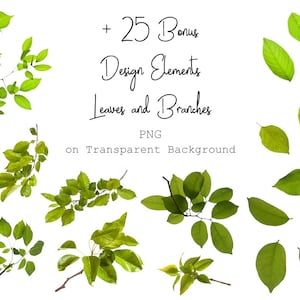 120 Green Branches Overlays Spring Overlays Tree Branches Spring Background Green Leaves Spring Garden PNG Photoshop Overlays zdjęcie 10