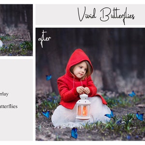 May include: A young girl wearing a red hooded jacket sits in a forest setting holding a white lantern. Blue butterflies are digitally added to the image. The text "Vivid Butterflies" is written in cursive at the top of the image.