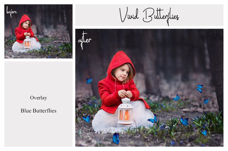 May include: A young girl wearing a red hooded jacket sits in a forest setting holding a white lantern. Blue butterflies are digitally added to the image. The text "Vivid Butterflies" is written in cursive at the top of the image.