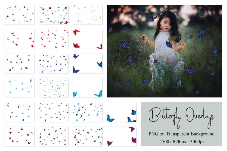 May include: A set of 20 digital butterfly overlays for photos. The overlays are in various colors, including blue, purple, red, and white. The butterflies are on a transparent background and are 4500x3000 pixels, 300 dpi.