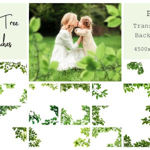 120 Green Branches Overlays Spring Overlays Tree Branches Spring Background Green Leaves Spring Garden PNG Photoshop Overlays zdjęcie 7