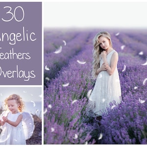 30 Angelic Feather Overlays - Photoshop Overlays - Feather Overlays - Angel Overlay - Photography Overlay - Feather PNG - White Feather