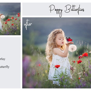 May include: A young girl with curly blonde hair blows on a dandelion in a field of red poppies. A red butterfly is perched on her hand. The text "Poppy Butterflies" is written in cursive at the top of the image.