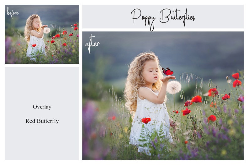 May include: A young girl with curly blonde hair blows on a dandelion in a field of red poppies. A red butterfly is perched on her hand. The text "Poppy Butterflies" is written in cursive at the top of the image.
