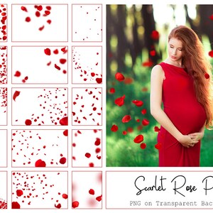 130 Red Rose Petals Overlays - Rose Overlays - Valentines Day - Rose ...