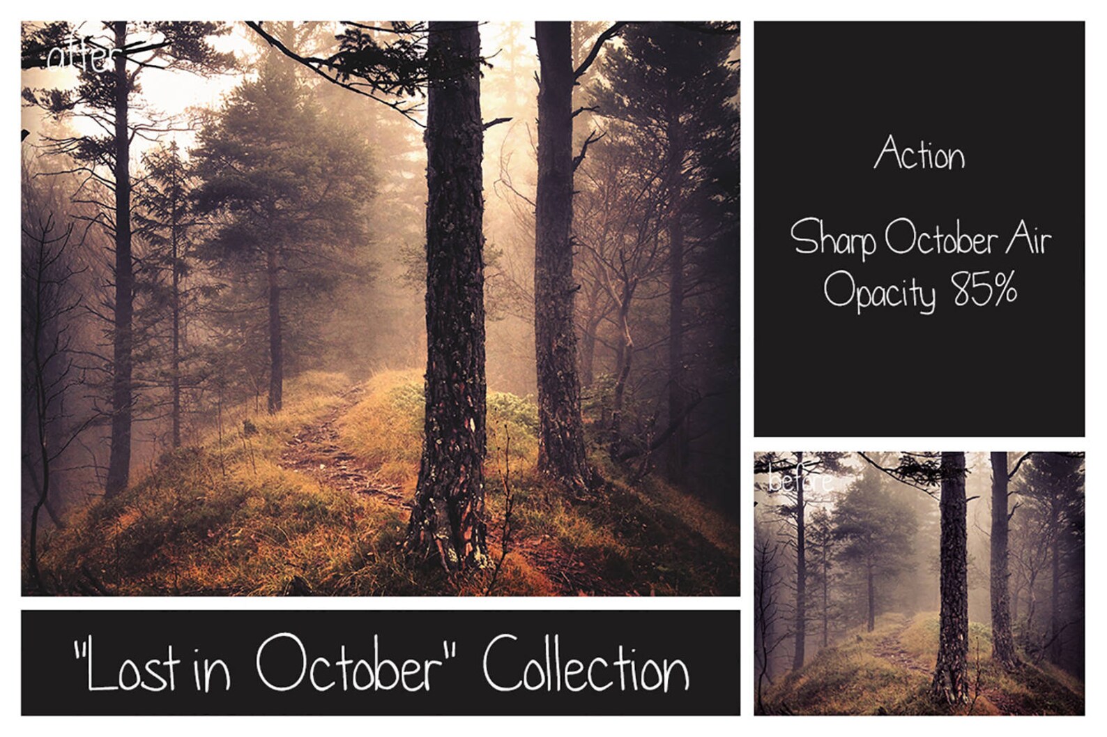 Autumn Landscape Bundle - 60 Fall Actions - 25 Fog Overlays - 15 Autumn ...