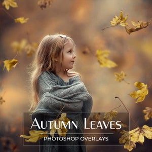Peut inclure: Une jeune personne aux longs cheveux blonds, vêtue d'un pull gris, regarde vers la droite avec un doux sourire. Des feuilles d'automne jaunes tombent autour d'elle. Le texte sur l'image indique "AUTUMN LEAVES" et "PHOTOSHOP OVERLAYS".