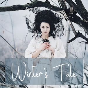 10 Winter Actions - Winter Photoshop Actions - Artistic Actions - PS Actions Set - Winter Photoshop Effect - Winter Snow Actions - Seasons