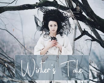 10 Winter Actions - Winter Photoshop Actions - Artistic Actions - PS Actions Set - Winter Photoshop Effect - Winter Snow Actions - Seasons