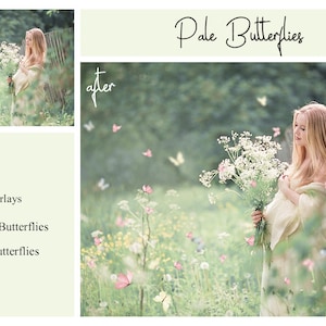 May include: A woman in a white dress stands in a field of wildflowers with a bouquet of white flowers in her hands.  Pale pink butterflies are scattered throughout the image. The text "Pale Butterflies" is written in cursive at the top of the image.