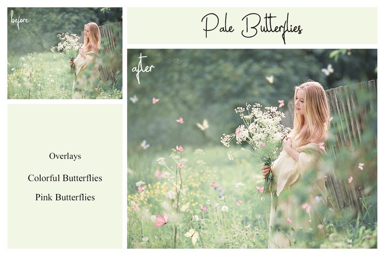 May include: A woman in a white dress stands in a field of wildflowers with a bouquet of white flowers in her hands.  Pale pink butterflies are scattered throughout the image. The text "Pale Butterflies" is written in cursive at the top of the image.