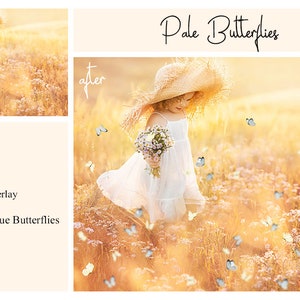 May include: A young girl in a white dress and a straw hat walks through a field of tall grass.  Pale blue and yellow butterflies are scattered throughout the image. The text "Pale Butterflies" is written in cursive at the top of the image.