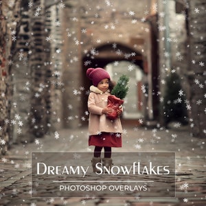 30 Dreamy Snowflakes Overlays - Snow Overlays - Christmas Overlays - Winter Background - Snow Backdrop - PNG - Photoshop Overlays