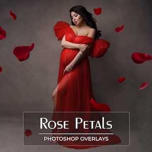 75 Red Rose Petals Overlays - Falling Petals - Scarlet and Burgundy - Valentines Day - Pregnancy - Maternity - Wedding - PNG