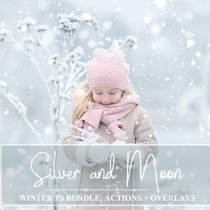 100+ Winter Overlays - Winter PS Actions - Snow Overlays - Winter Bokeh Overlays - Winter Textures - Christmas Overlays - Winter Backgrounds