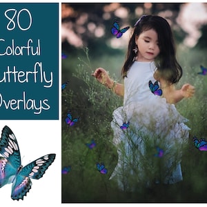 80 Butterfly Overlays - Photoshop Overlay - Colorful Butterflies - PS Overlay - Blue - Red - Yellow - Purple - Pink - PNG - Photo Overlays