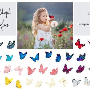 May include: 40 colorful butterfly illustrations on a transparent background. PNG format.