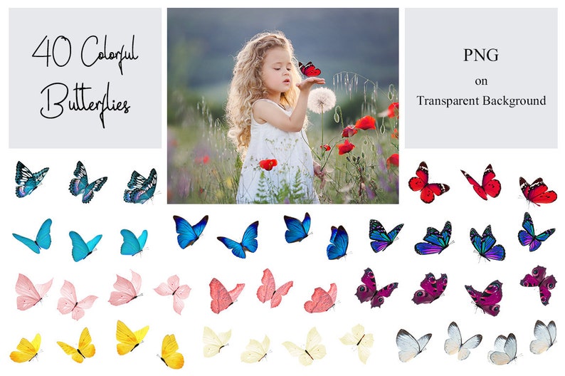 May include: 40 colorful butterfly illustrations on a transparent background. PNG format.
