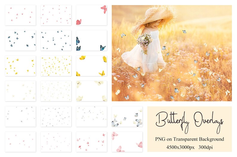 May include: A set of 16 digital overlays featuring various butterfly designs. The butterflies are scattered on a white background. The overlays are in PNG format and are 4500x3000 pixels at 300 dpi. The text "Butterfly Overlays" is displayed in a handwritten font. The text "PNG on Transparent Background 4500x3000px 300dpi" is also displayed.