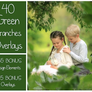 120 Green Branches Overlays Spring Overlays Tree Branches Spring Background Green Leaves Spring Garden PNG Photoshop Overlays image 1
