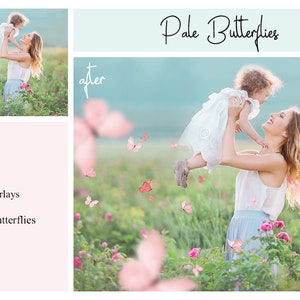 May include: A mother and daughter are playing in a field of flowers. The daughter is being held up in the air by the mother. There are pink butterflies flying around them. The text "Pale Butterflies" is written in cursive at the top of the image.
