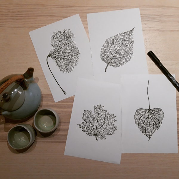 Set of Botanical Art Illustration Prints/Skeleton Leaves/Scandi Monochrome Ink Sketch/ Drawing /8x6" A5 Sized