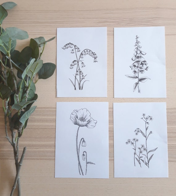 Botanical Forget Me Not Wildflower Art Print Flower Monochrome Etsy Botanical Forget Me Not Wildflower Art Print Flower Monochrome Etsy