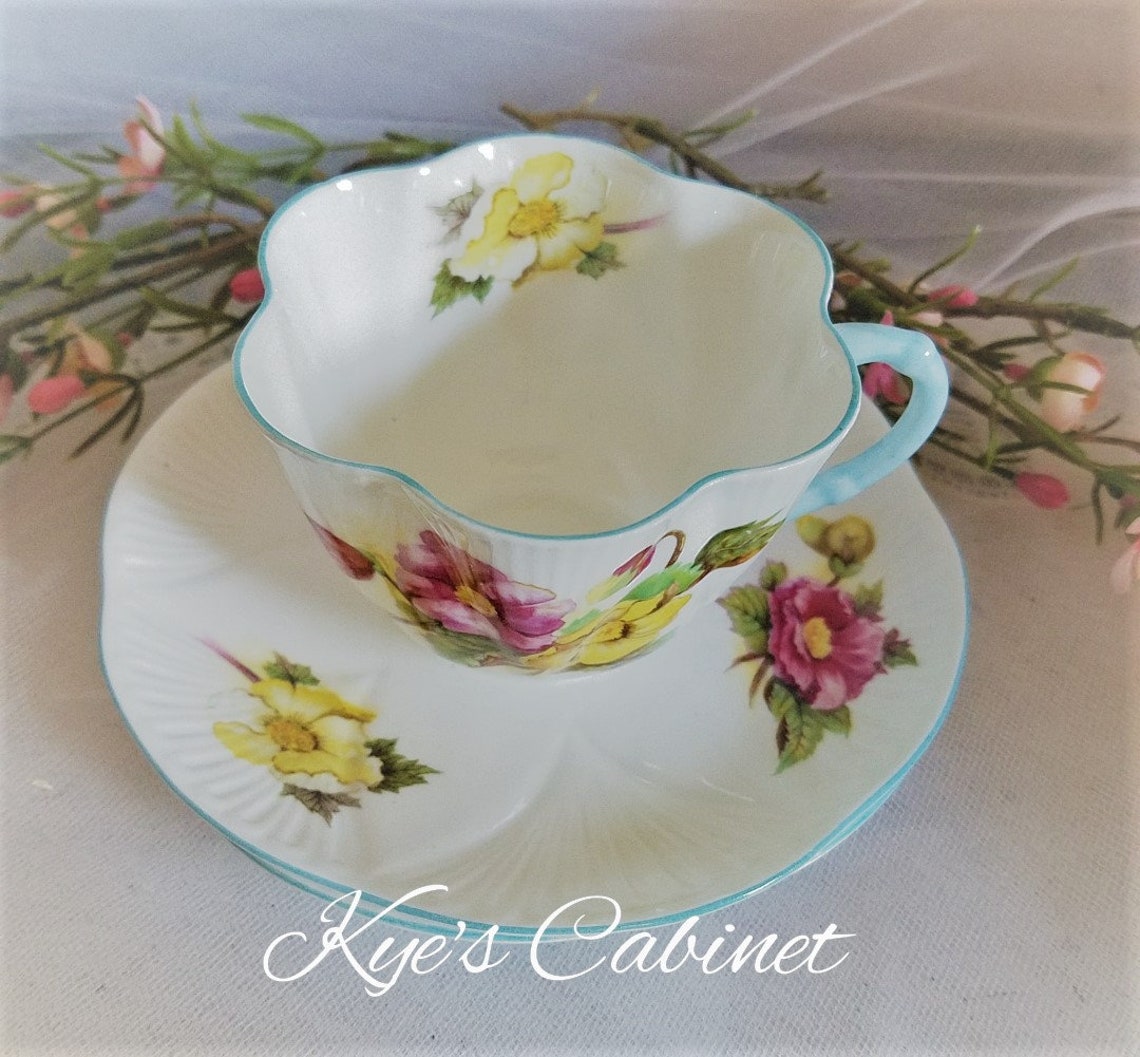 Elegant Shelley Fine Bone China begonia Teacup and Etsy