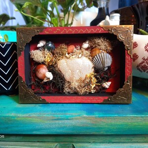 May include: A red shadow box with brass corner accents, filled with seashells, moss, and a heart-shaped coral. The box is set on a teal surface, with a black and white zig-zag patterned pot and a decorative cow figurine in the background.